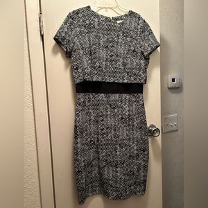 Calvin Klein Black and White Dress